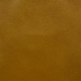 Denver Palomino