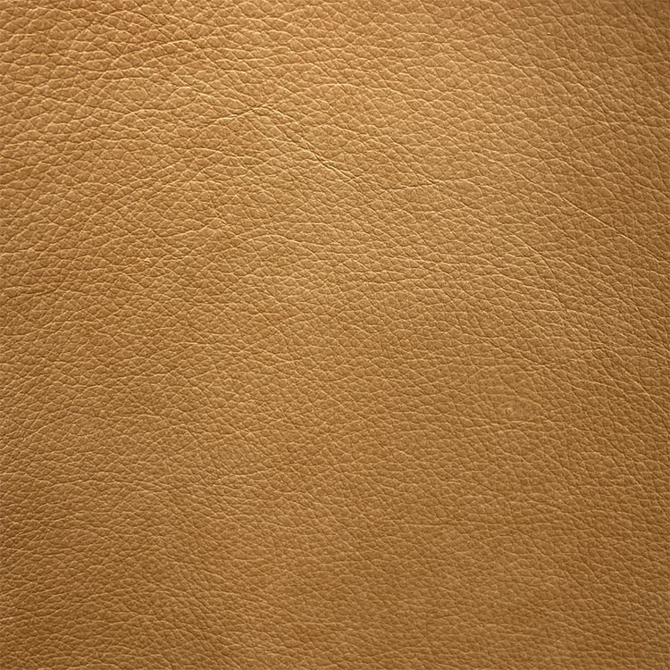 Eugene Burlap