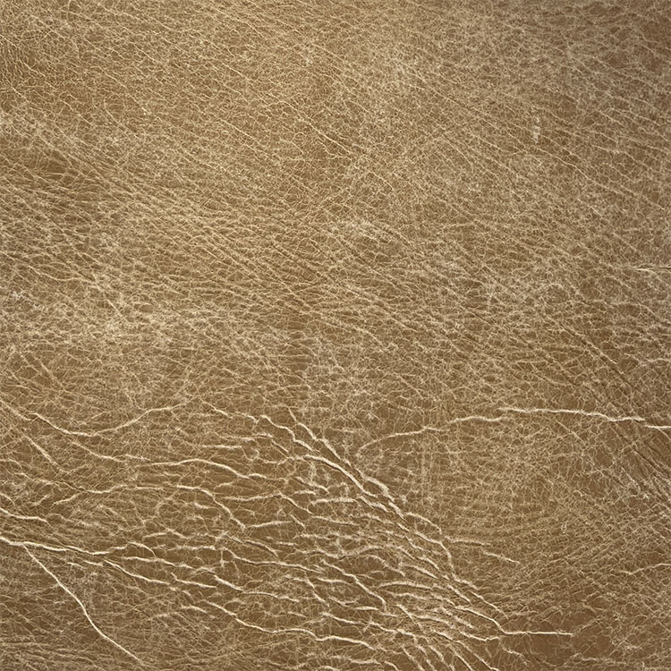 Grand Canyon Bisque