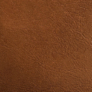 Guanaco Aztec