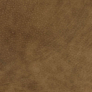 Legends Desert