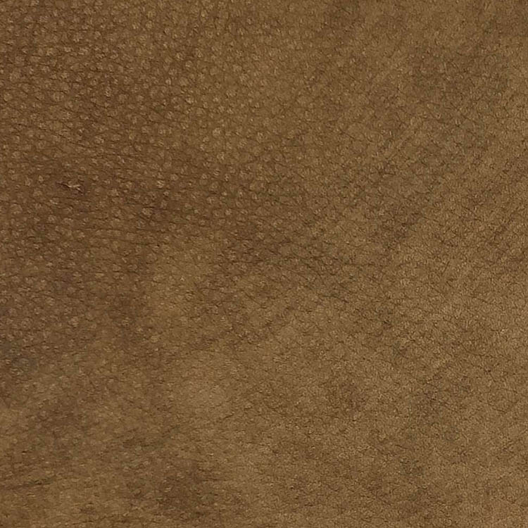 Legends Desert