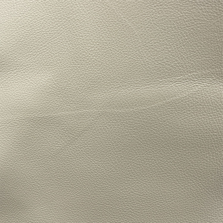 Maxima Antique