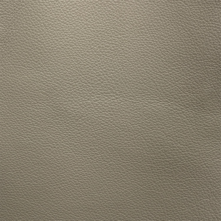 Maxima Grey Taupe