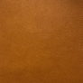 Oxford Amber