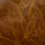 Polo Club Caramel