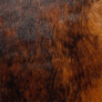 Designer Pony Brindle