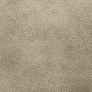 Saloon Blush