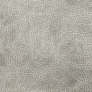 Saloon Dove