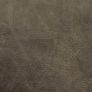 Saloon Gray