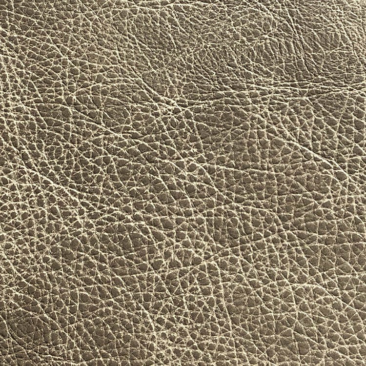 Saloon Mushroom