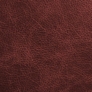Saloon Oxblood