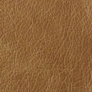 Saloon Palomino