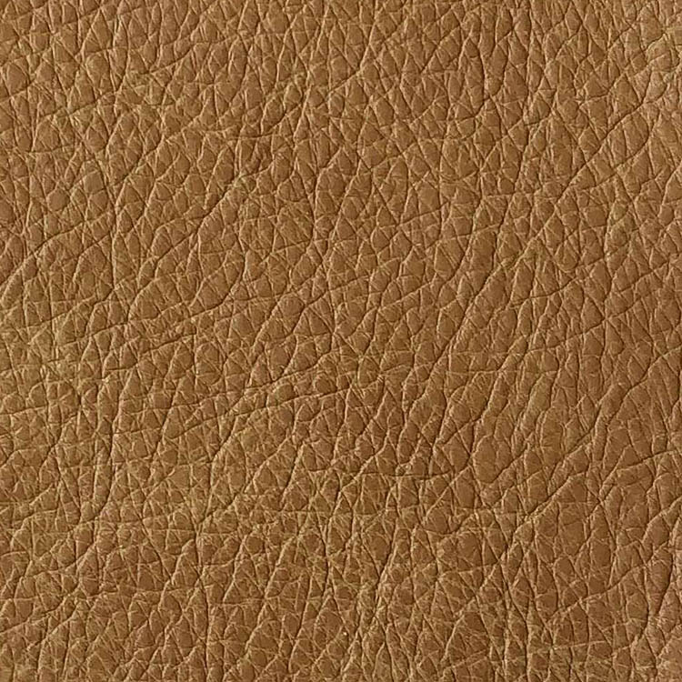 Saloon Palomino
