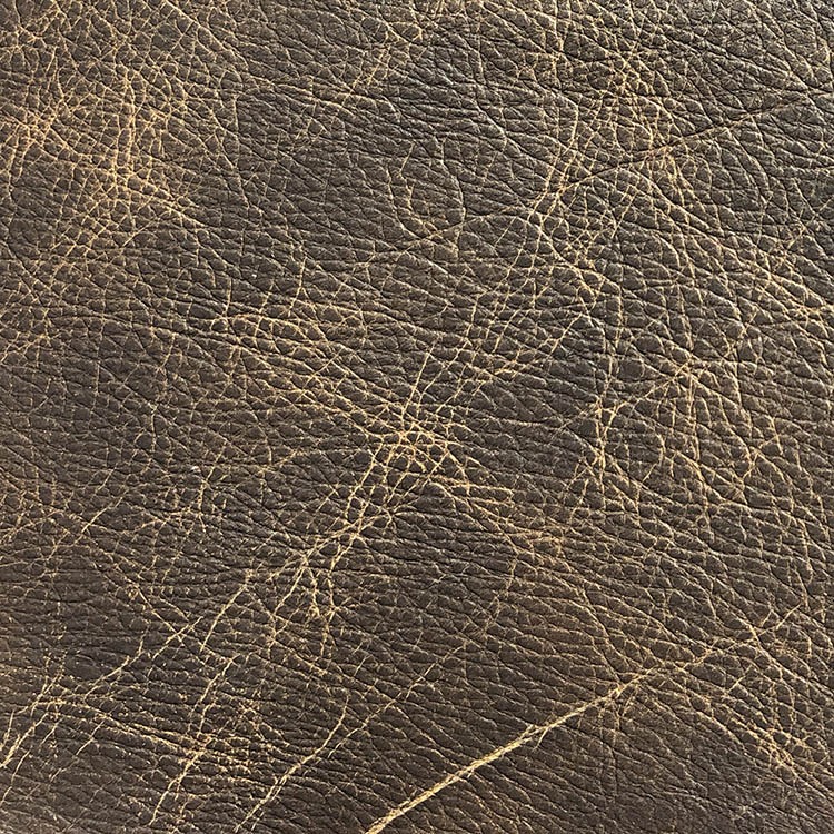 Saloon Texas