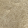 Saloon Vanilla