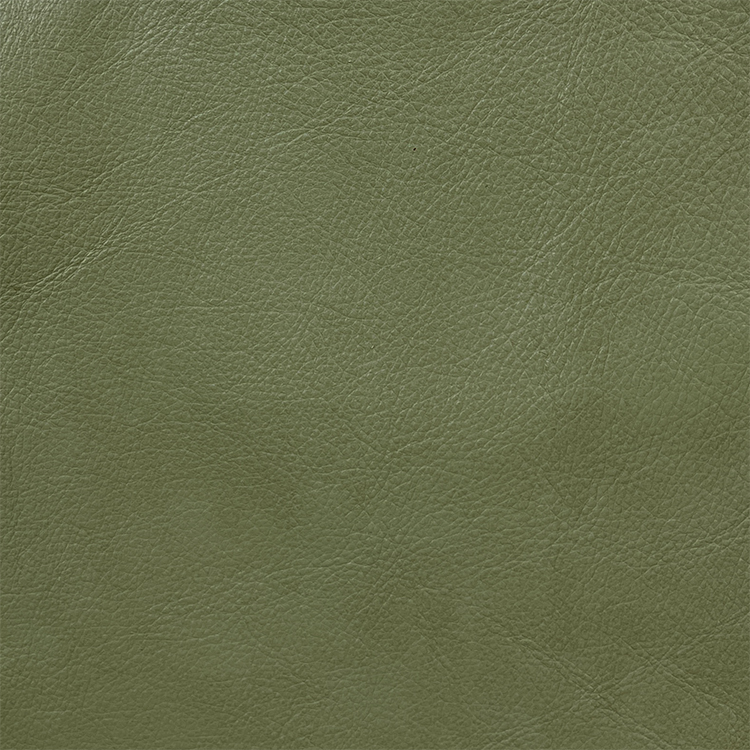 Silk Kiwi