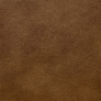 Urban Maple