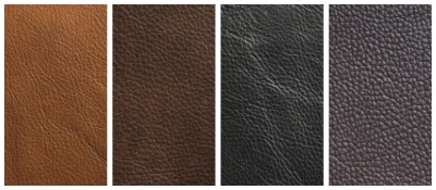 TXL Collection - Leathers